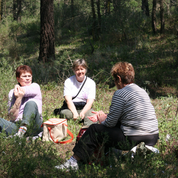 Mai et Juin 2006